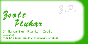 zsolt pluhar business card